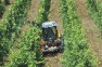Traktor Pasquali Orion